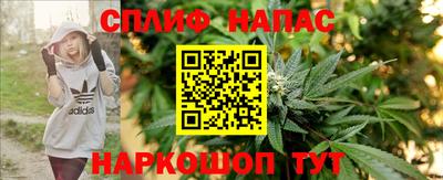 крисы Краснознаменск